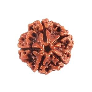 4 Mukhi